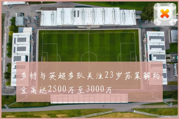 多特与英超多队关注23岁苏莱解约金高达2500万至3000万